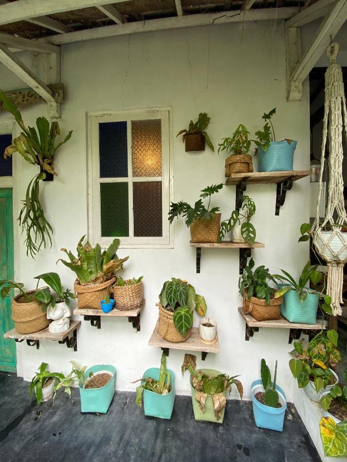 The Bodhi Tree Karimunjawa Hostel Εξωτερικό φωτογραφία
