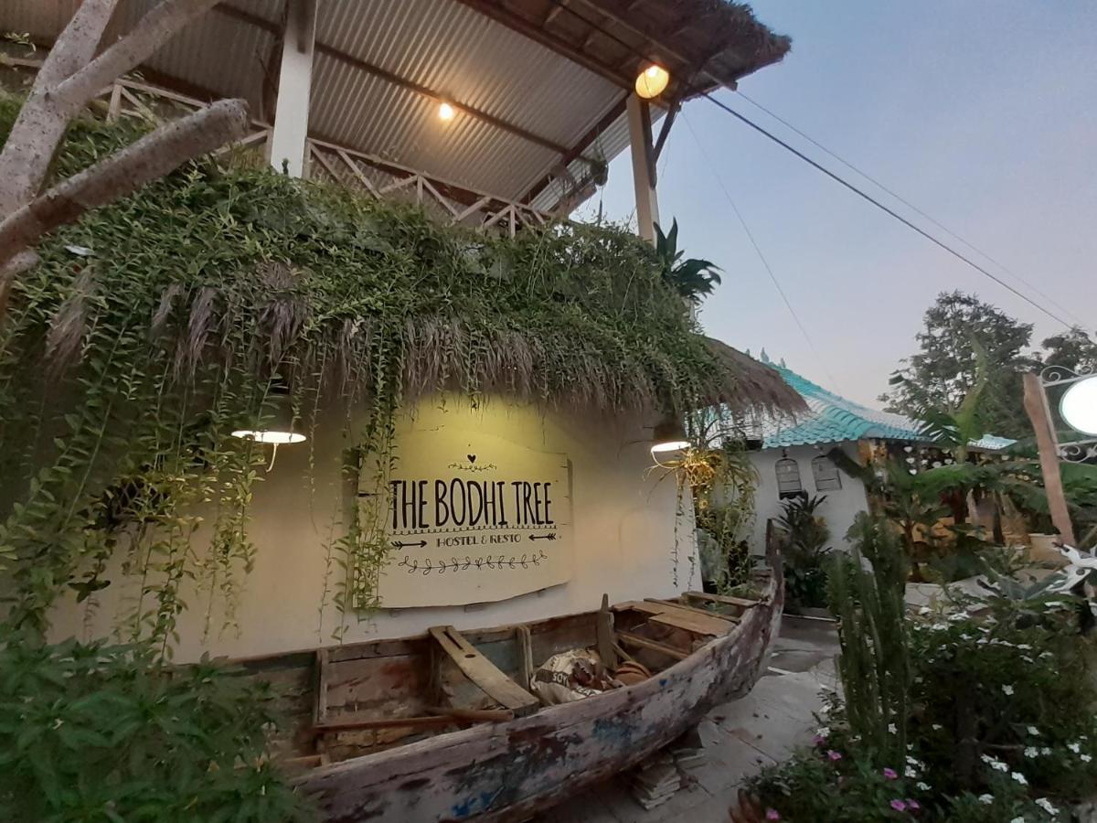 The Bodhi Tree Karimunjawa Hostel Εξωτερικό φωτογραφία